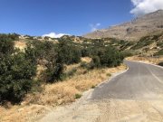 Triopetra Kreta, Triopetra: Grundstück mit Meerblick zu verkaufen Grundstück kaufen